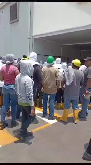 MANIFESTACION