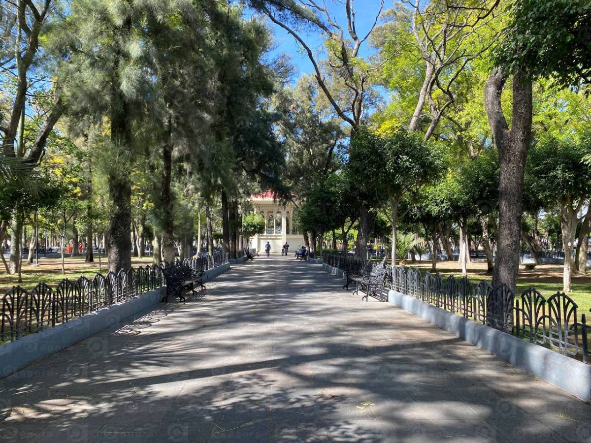 ALAMEDA