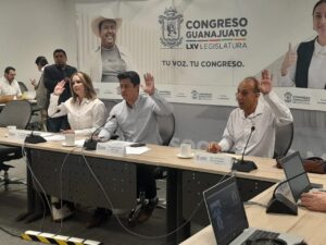 CONSULTA