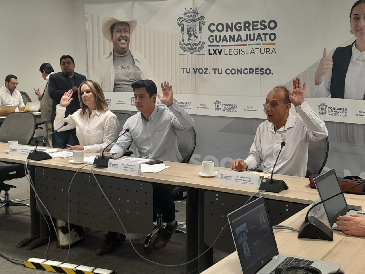 CONSULTA