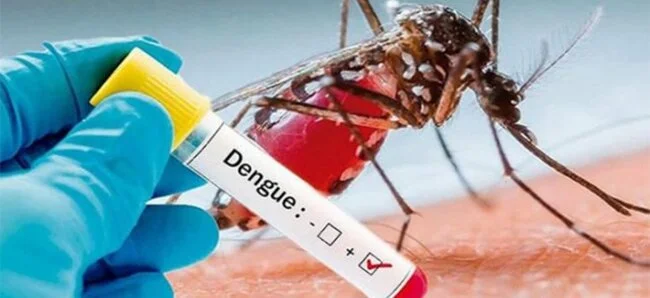 DENGUE