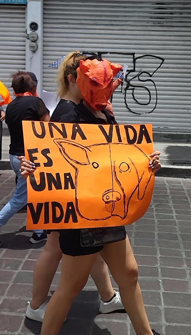 MARCHA-1