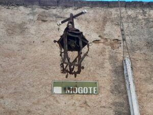 MOGOTE
