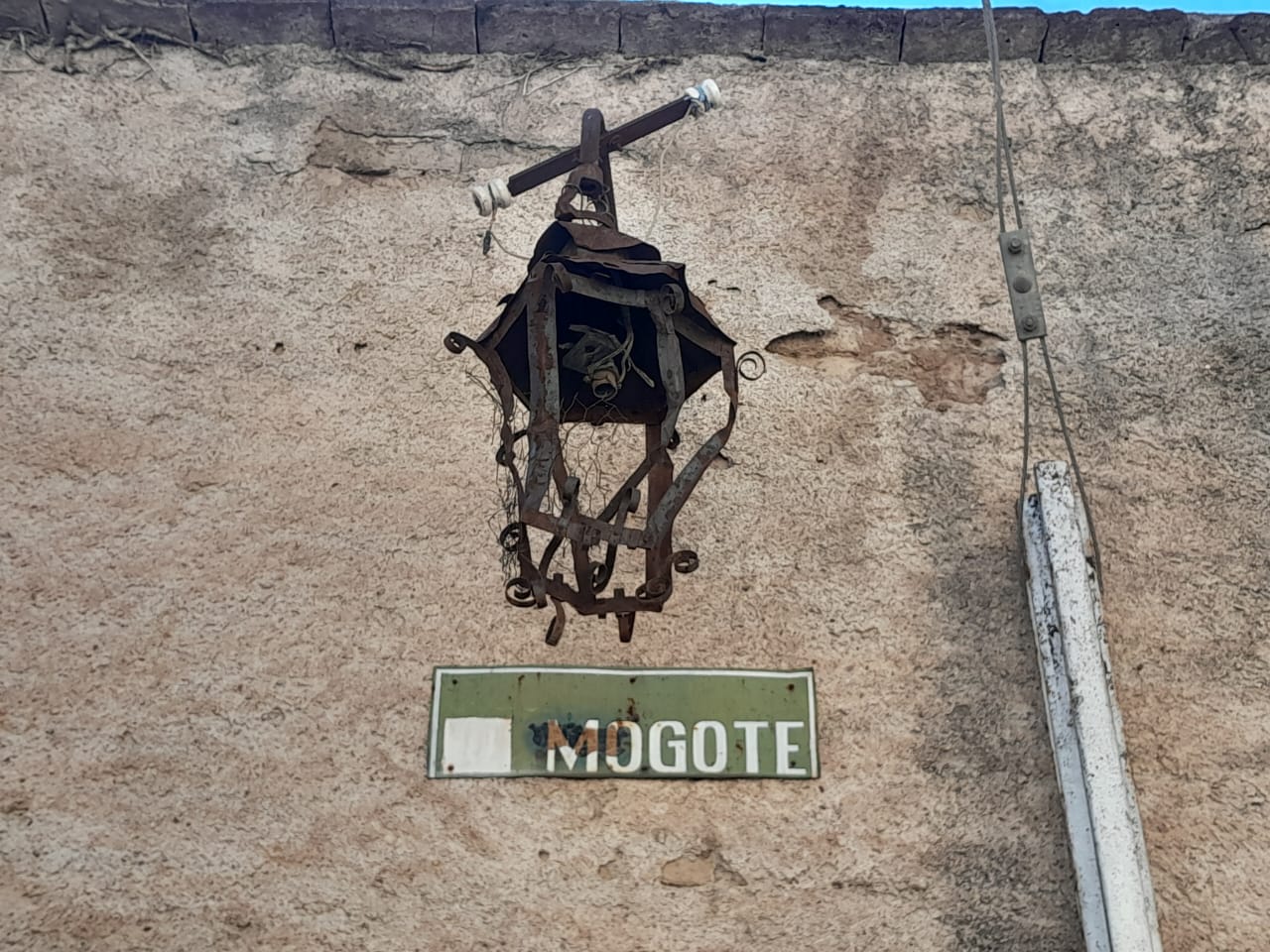 MOGOTE