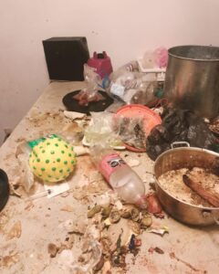 RESCATADOS