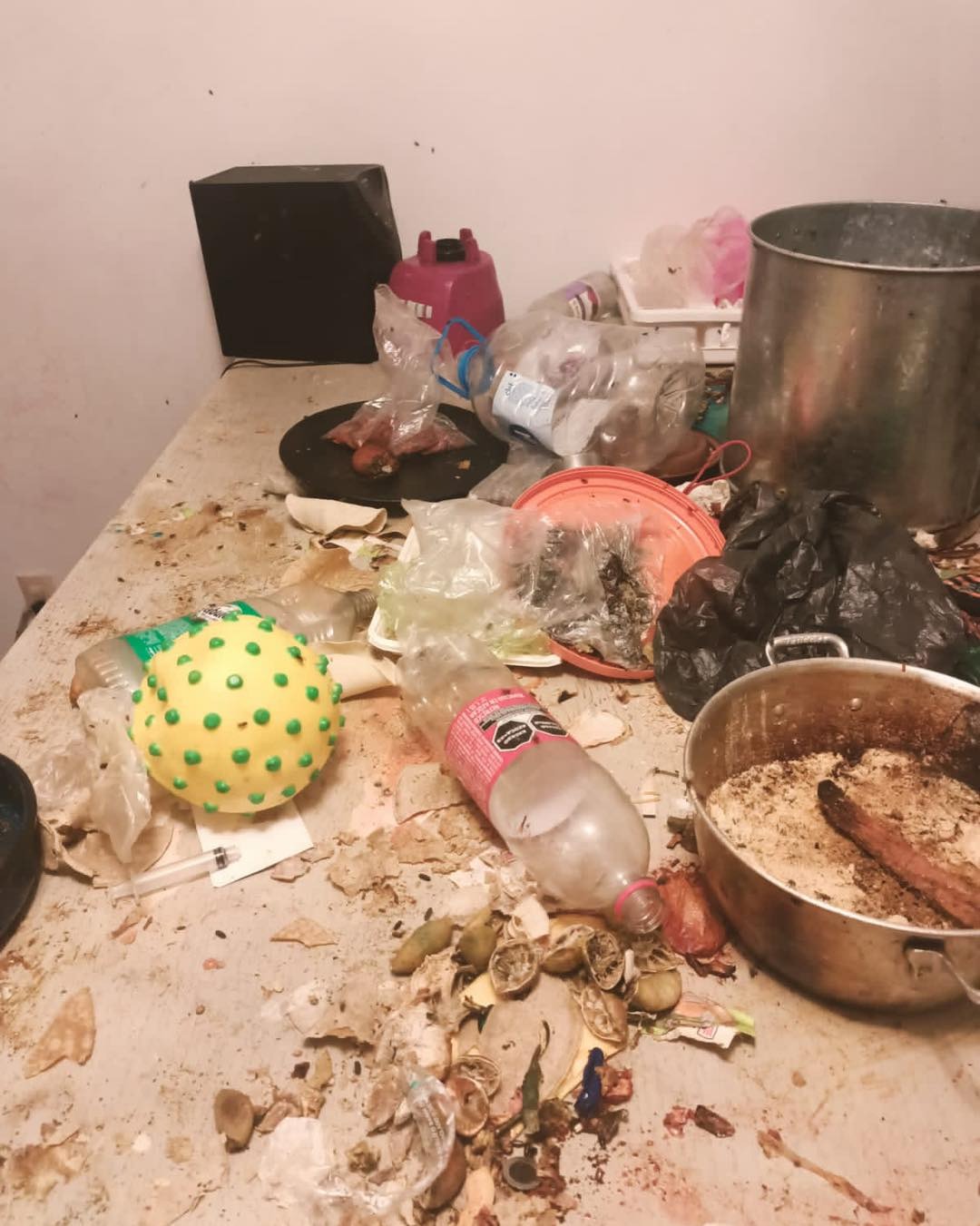RESCATADOS