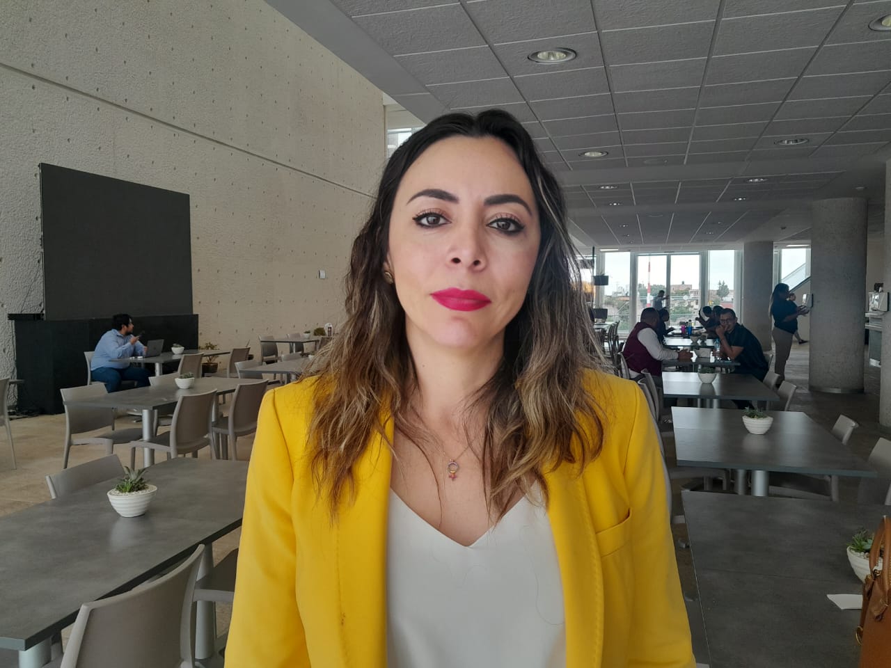 DIPUTADA