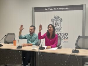 DIPUTADOS