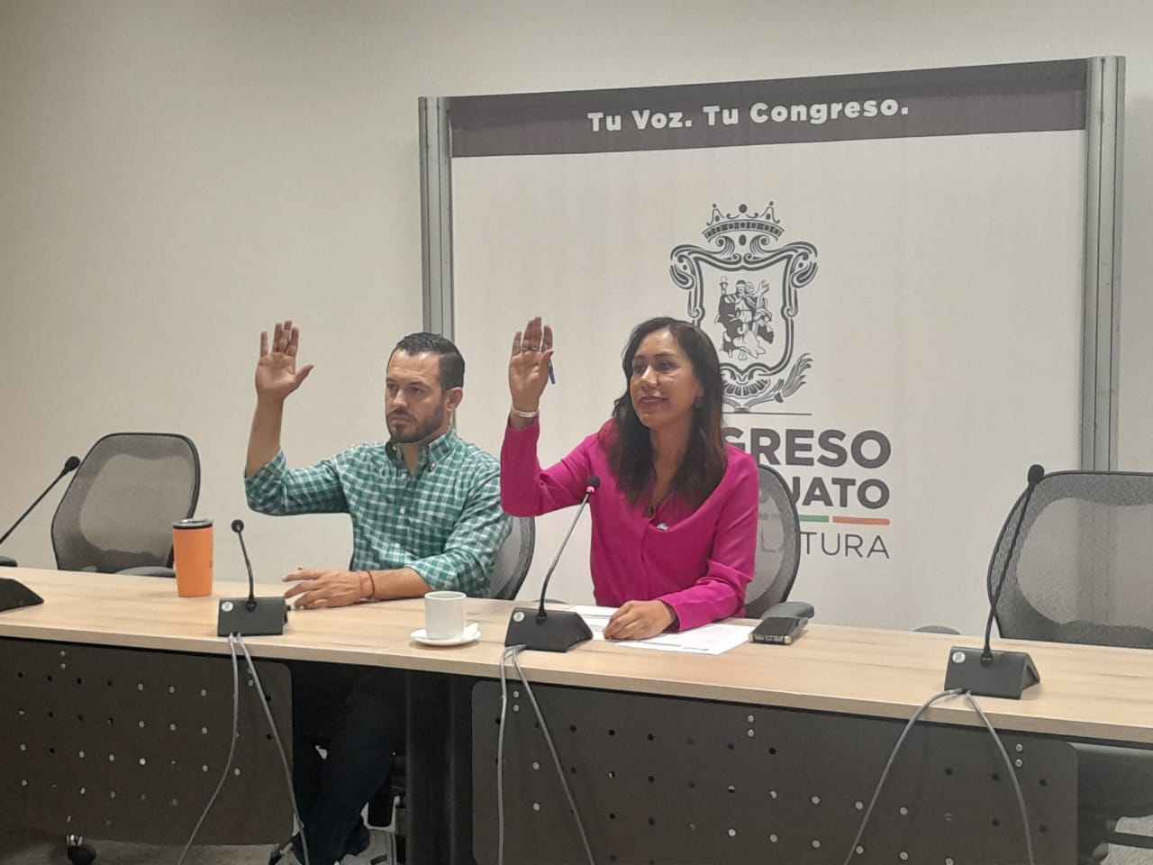 DIPUTADOS