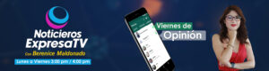 DISENO-banner-bere