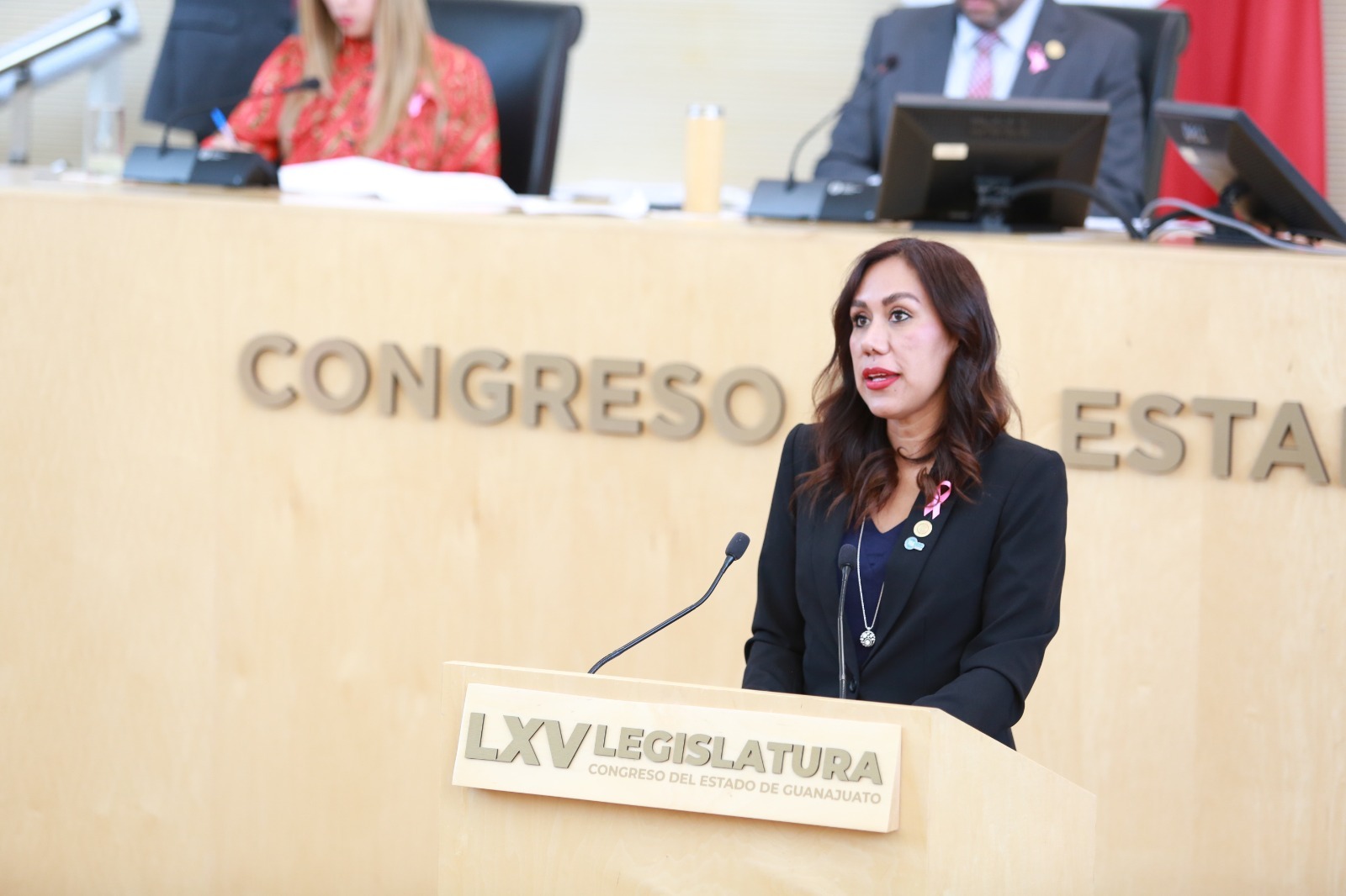 CONGRESO-GPPAN