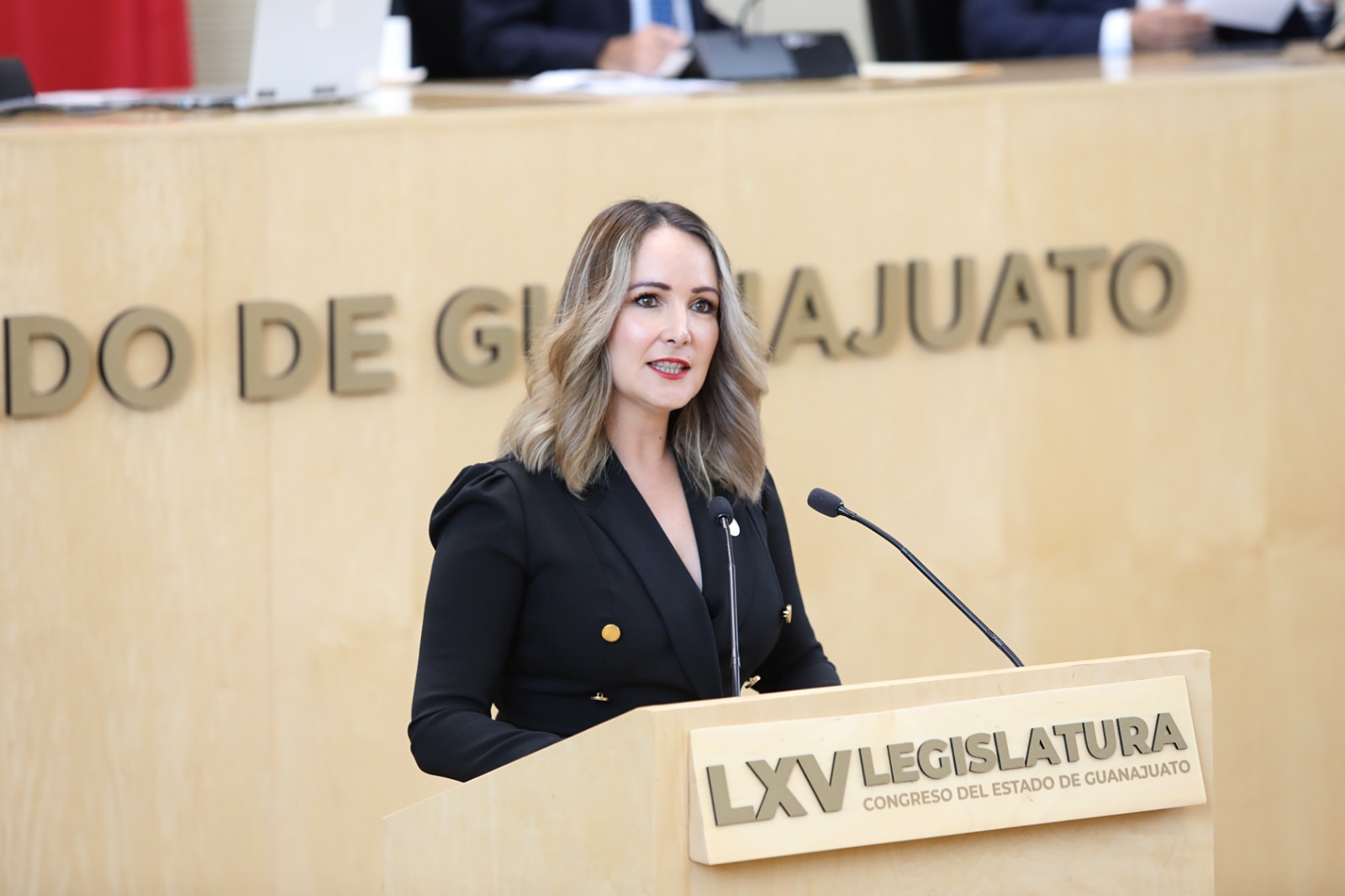 DIPUTADA-2