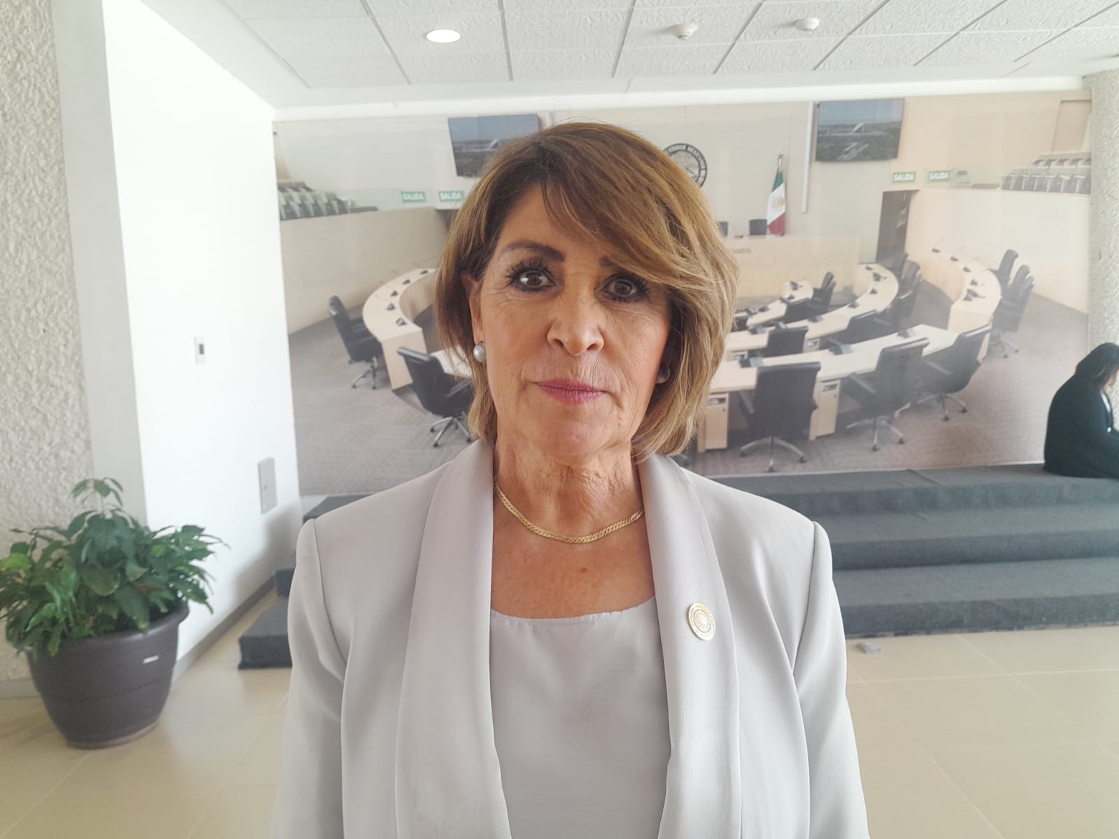 DIPUTADA-3