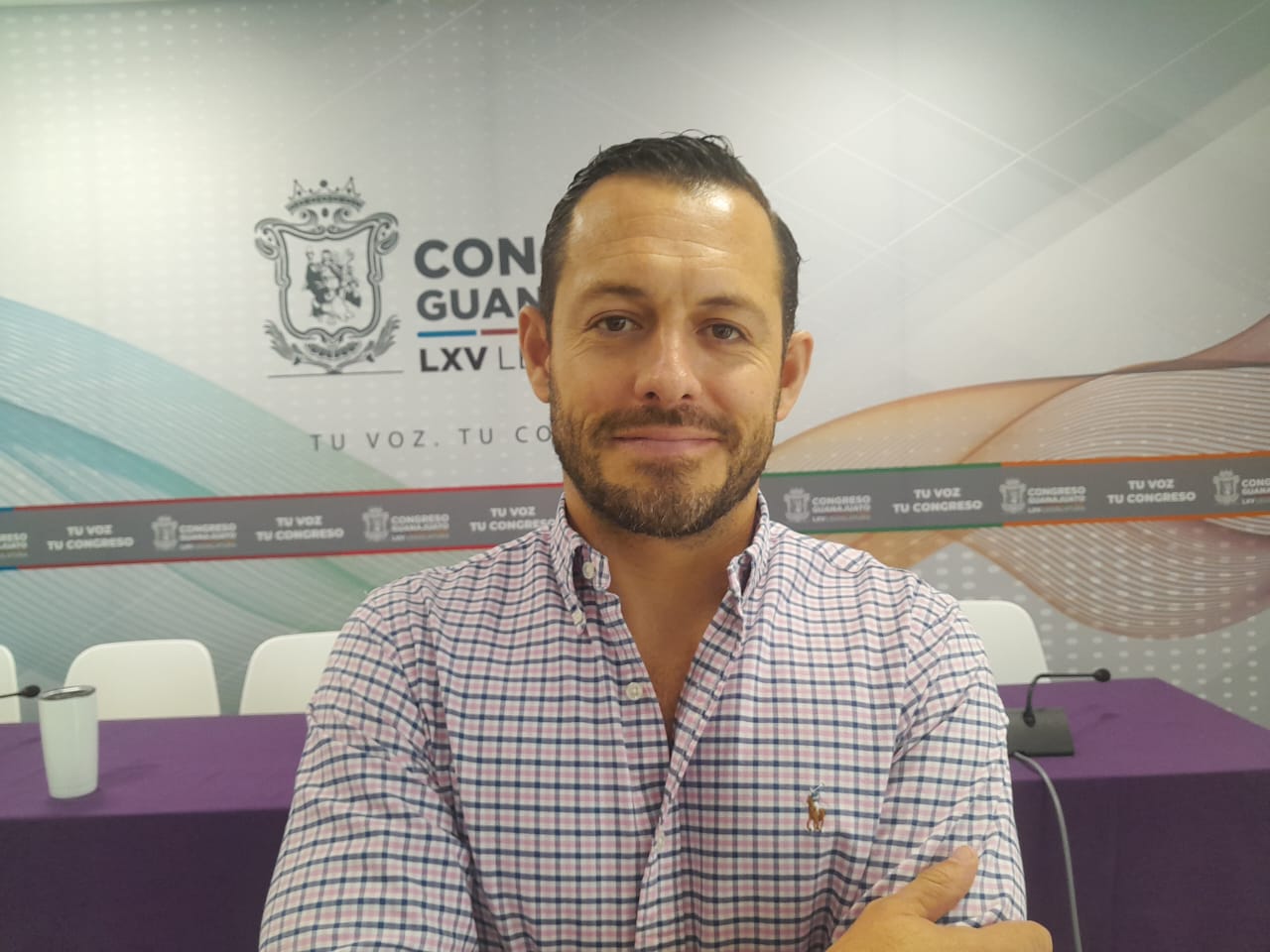 DIPUTADO