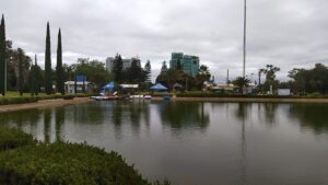 IMG-20231120-WA0005