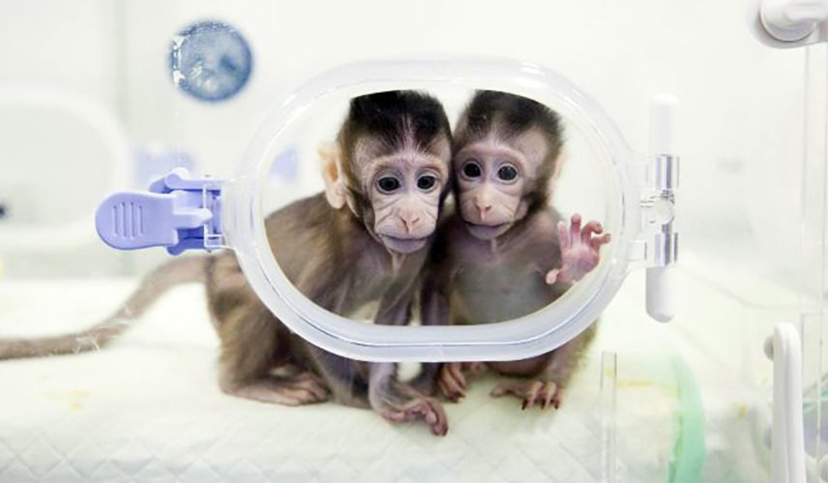 MONOS