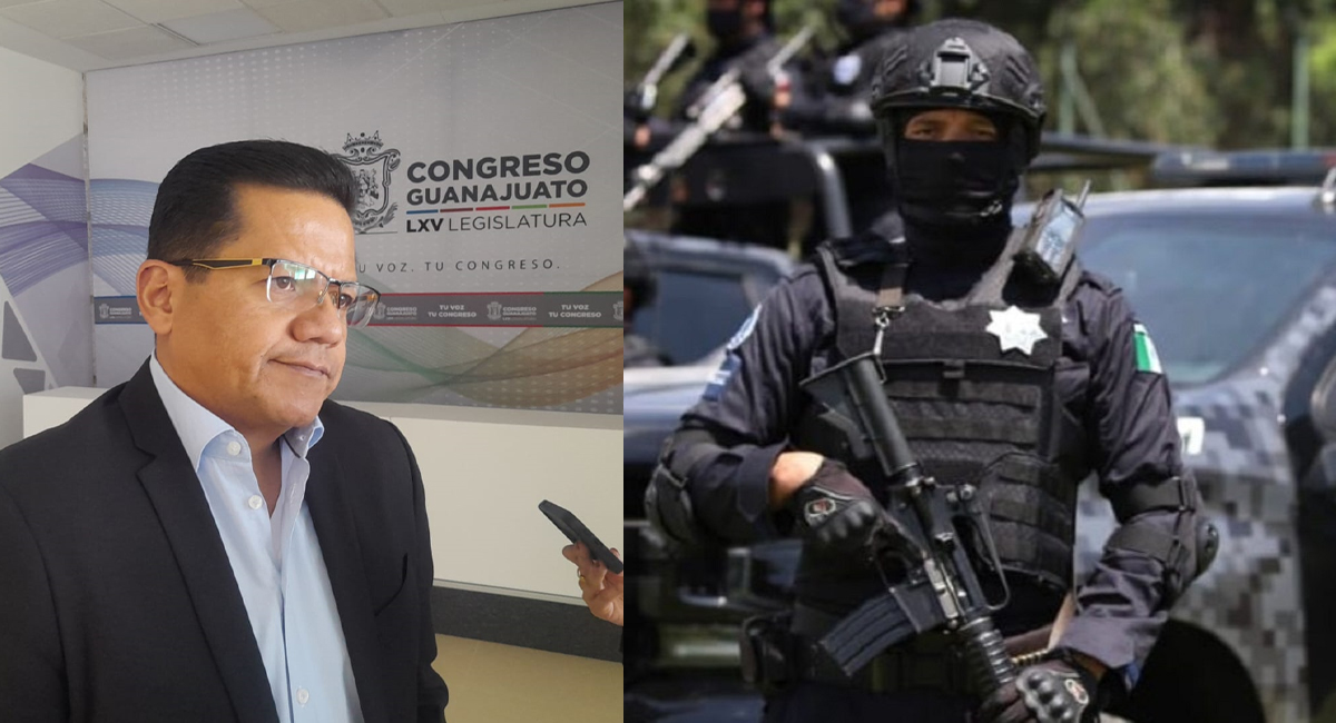 DIPUTADO