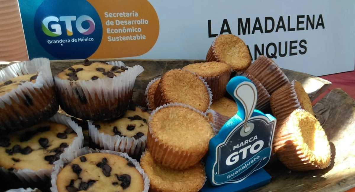 MARCA-GTO