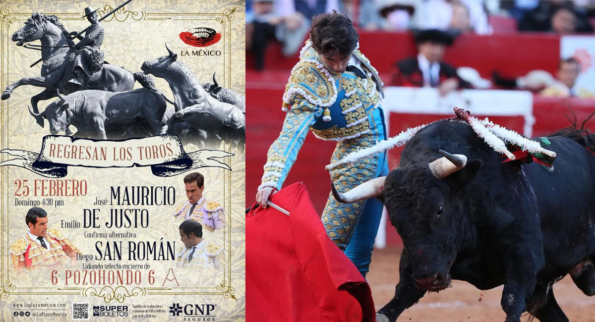 PLAZA-TOROS