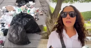 BASURA-CELAYA