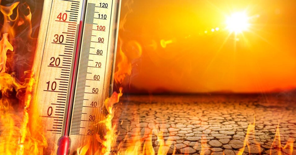CALOR-CDMX