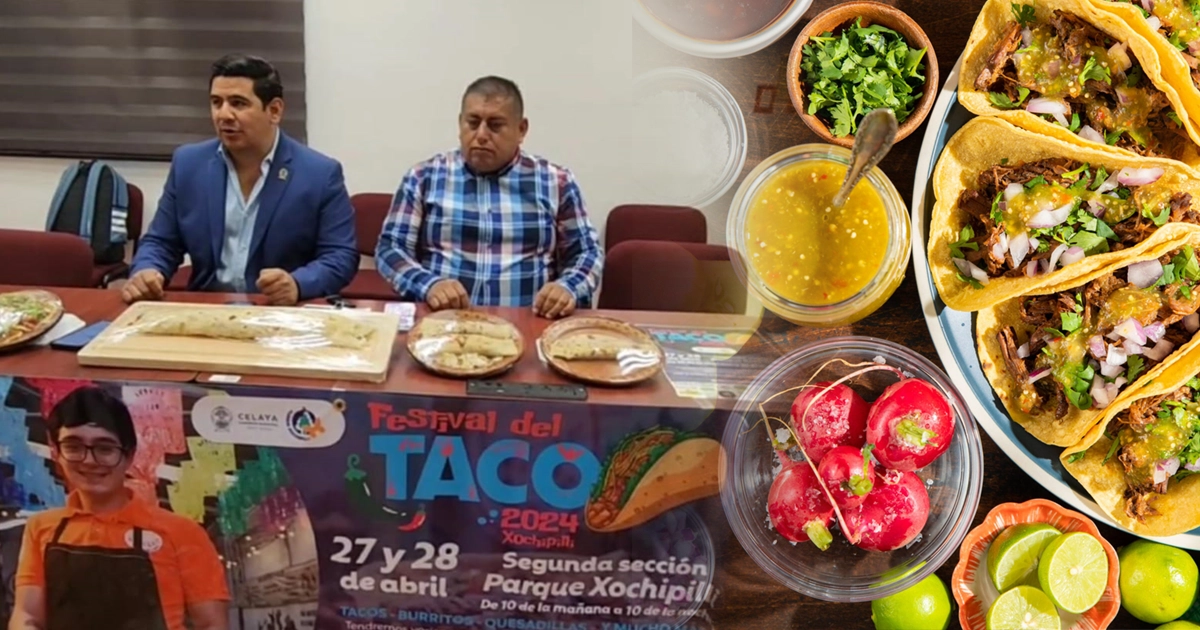 FESTIVAL-TACO