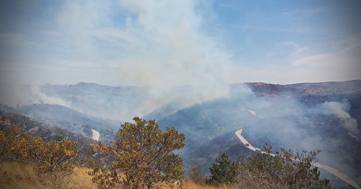 INCENDIO