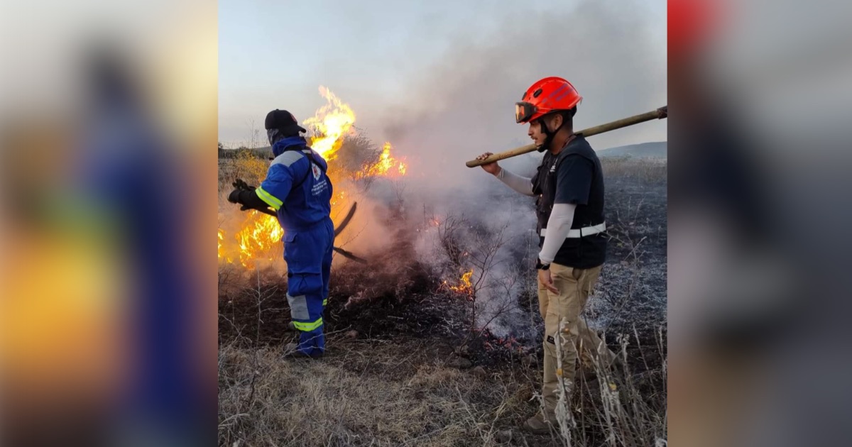 INCENDIO COMONFORT