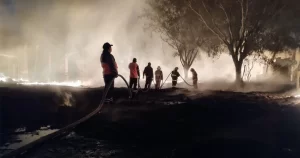 INCENDIOS-CORTAZAR