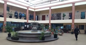 SEGURIDAD