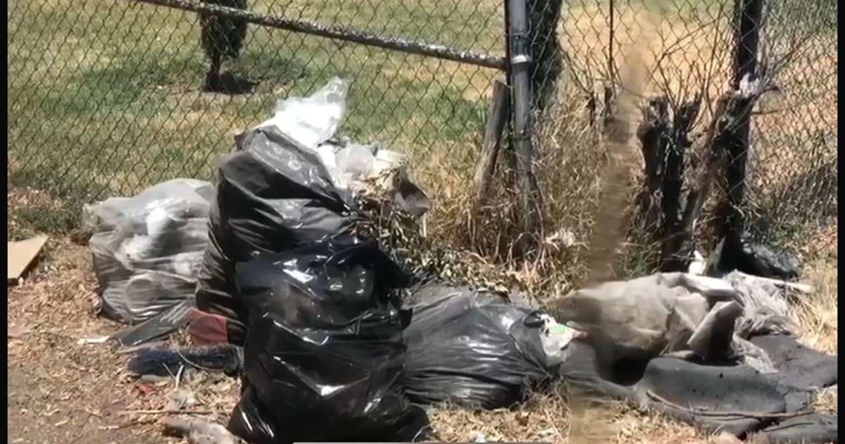 BASURA-BACHOCO