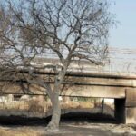 PARQUE LINEAL