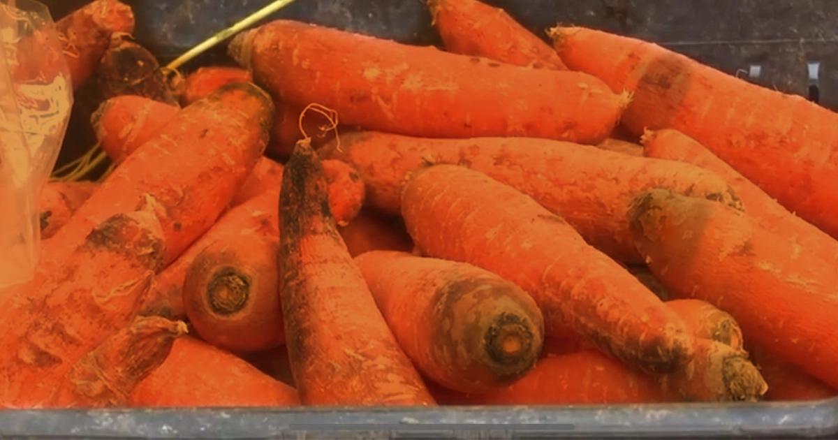 VERDURAS