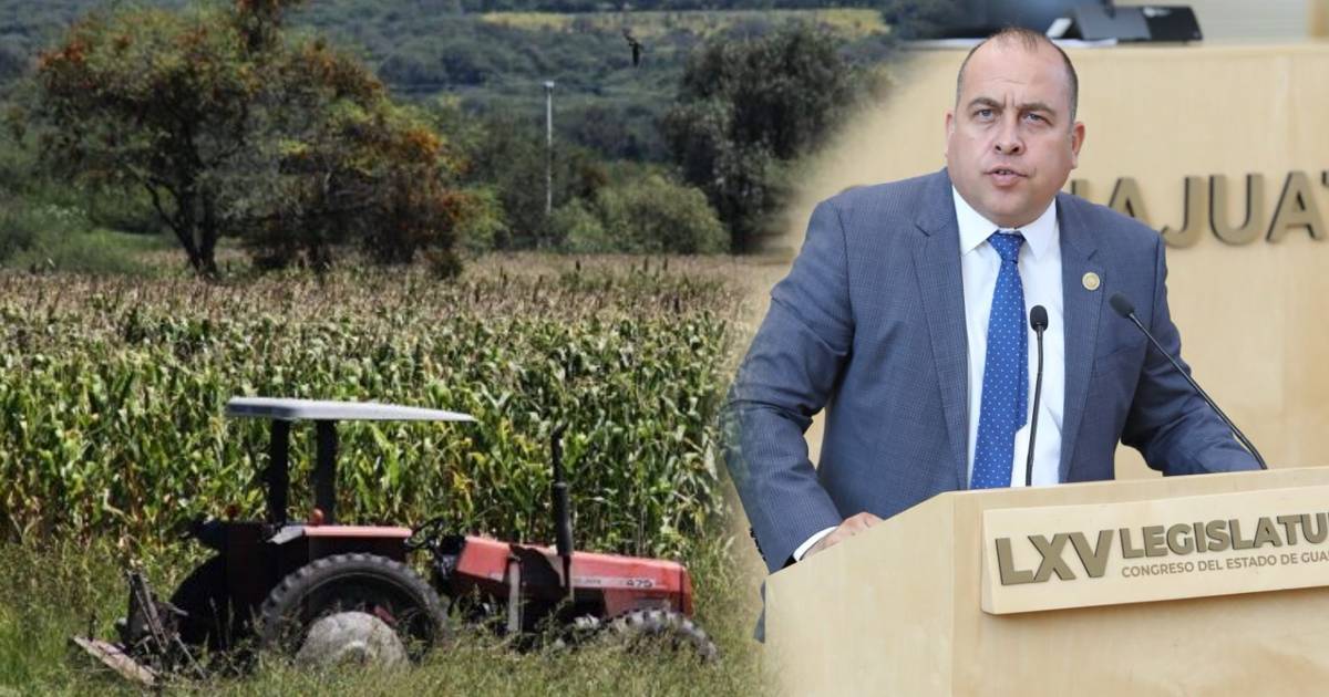 CAMPO CONGRESO