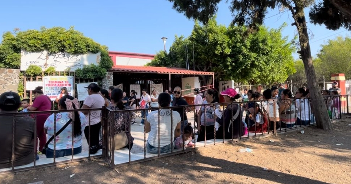 ESCUELA-PINOS