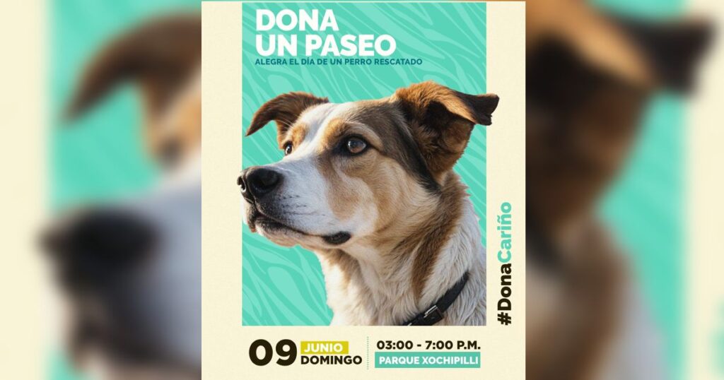 PASEO PERROS