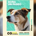 PASEO PERROS