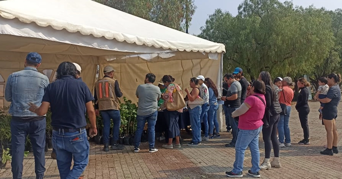 REFORESTACION