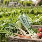 AGRICULTORES