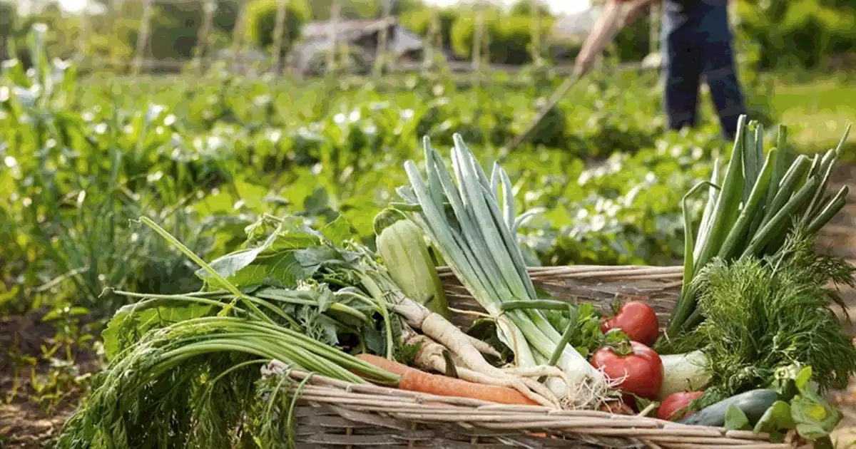 AGRICULTORES