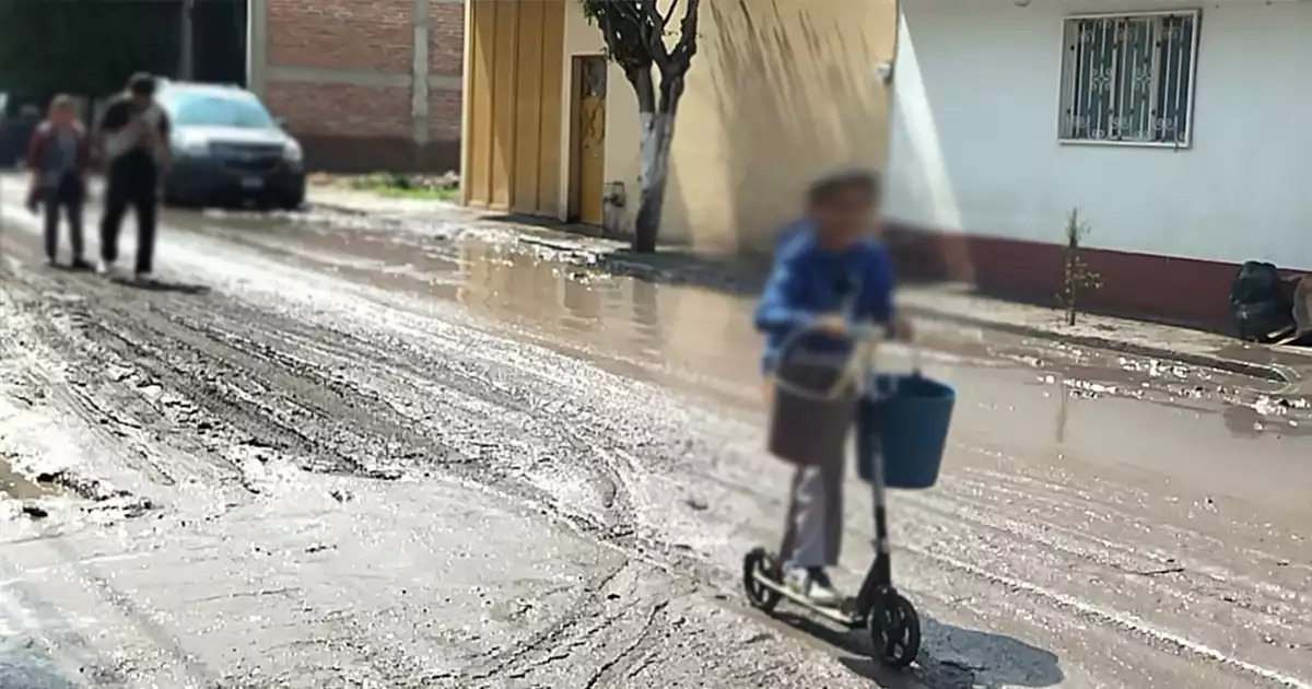 DAMNIFICADOS