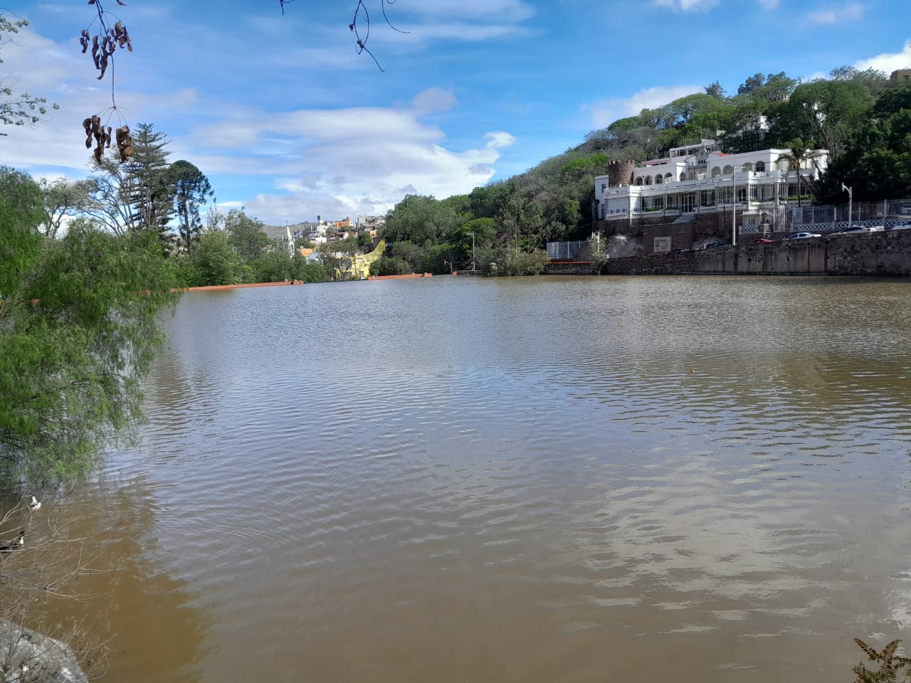 IMG-20240702-WA0012