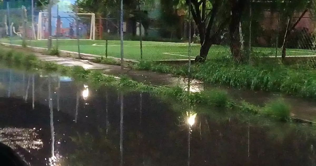 LUVIAS CYA