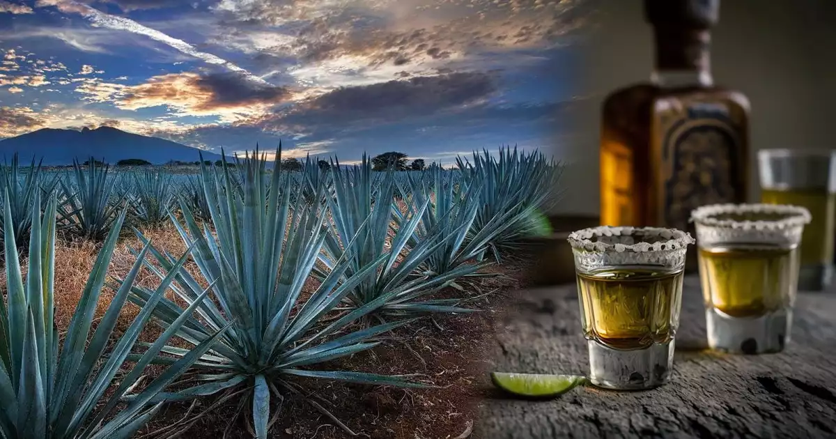 TEQUILA