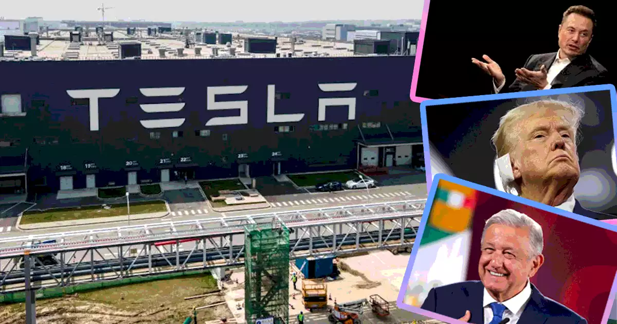 TESLA AMLO