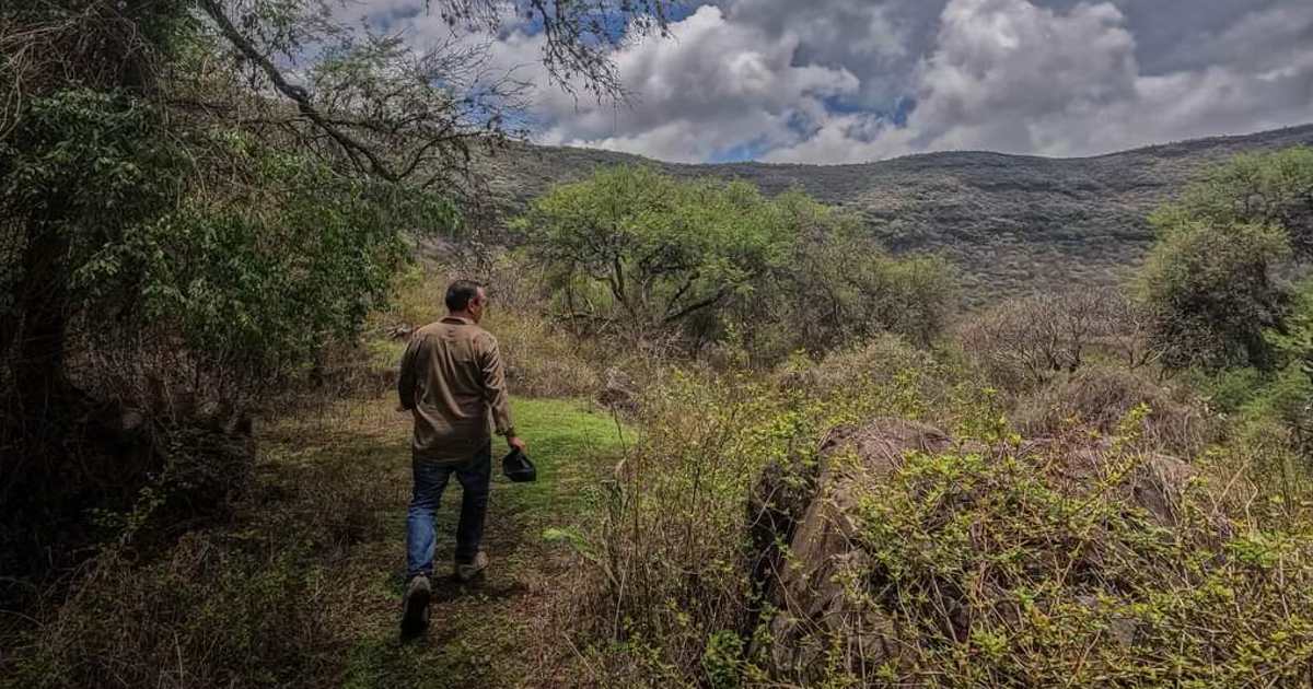 TURISMO VALLE