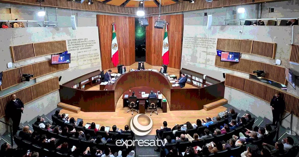 MAYORÍA  MORENA