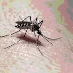 MUERTE DENGUE