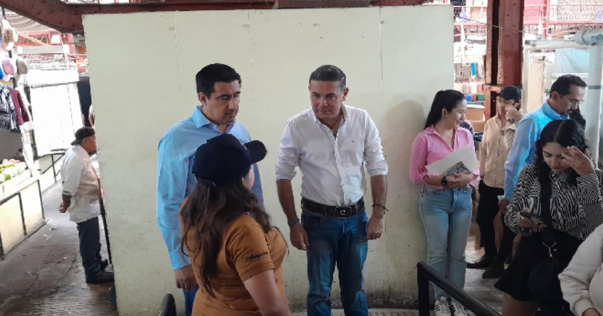 Mercado Gto
