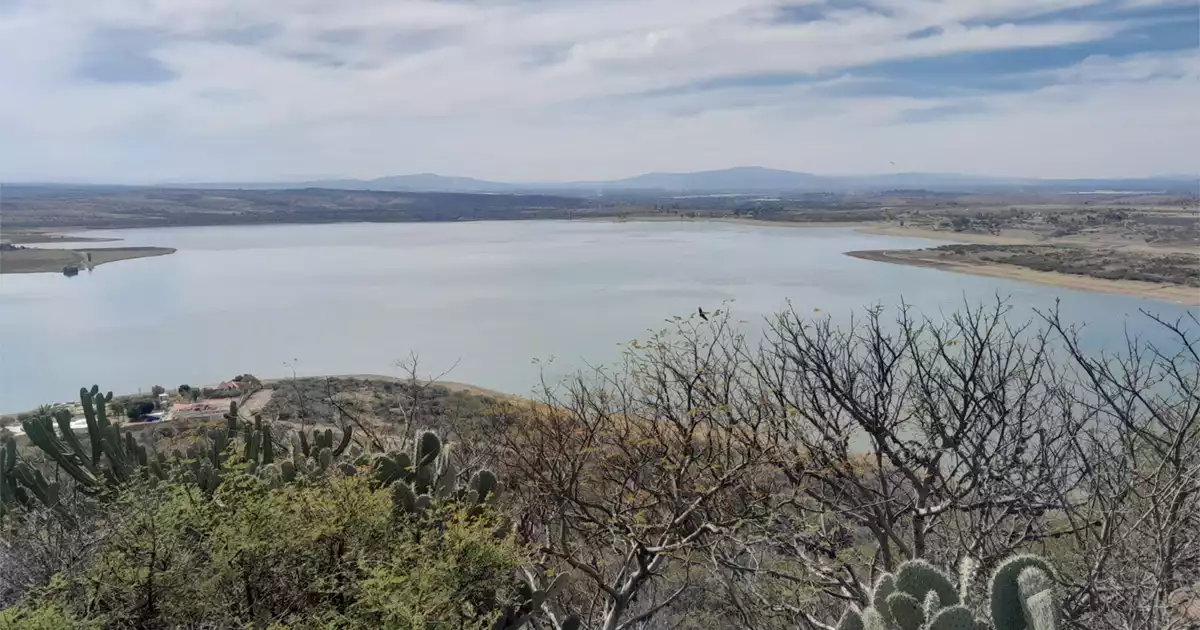 PRESA LA PURÍSIMA